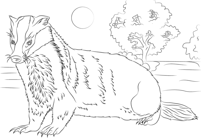 badger resting coloring book to print