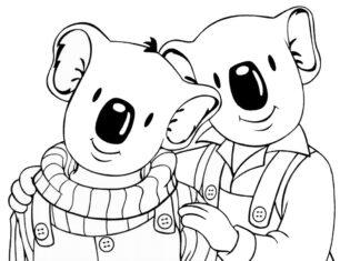 livre de coloriage des frères koala à imprimer