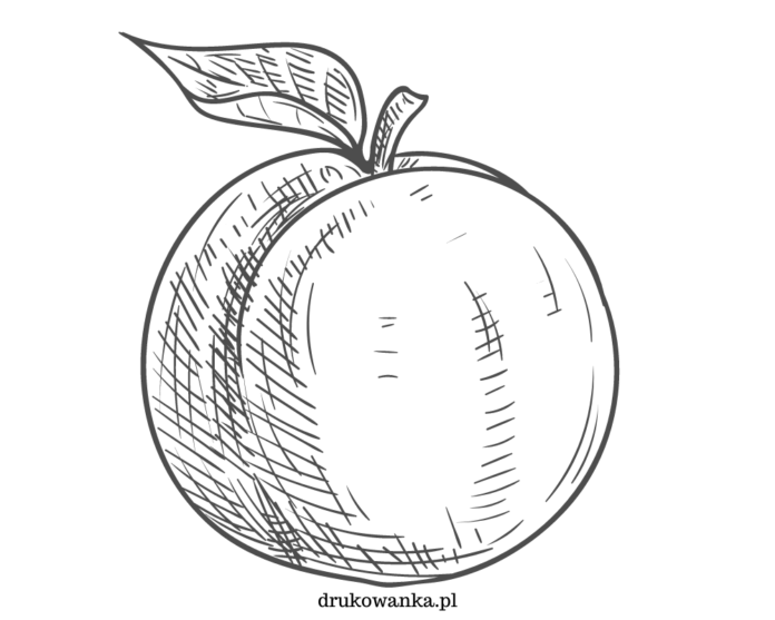 peach coloring book to print