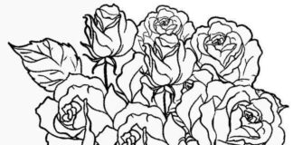 Kytice růží - omalovánky k vytisknutí