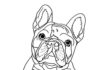 fransk bulldogg hund färgbok att skriva ut