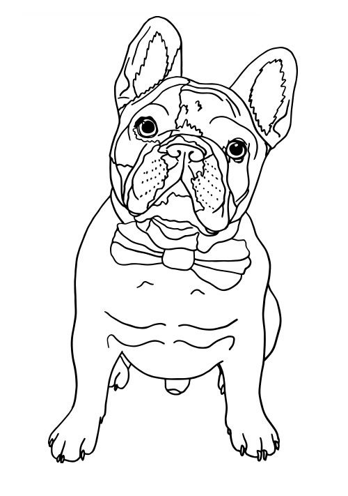 french bulldog dog coloring book to print