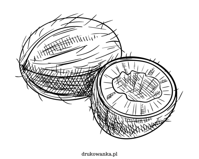 whole and halved coconut coloring book to print