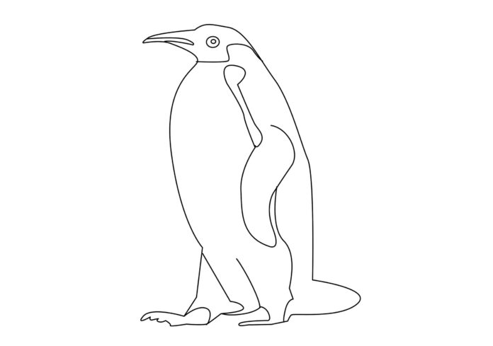 tučňák císařský omalovánky k vytisknutí