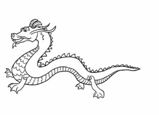 livre de coloriage de dragon chinois à imprimer