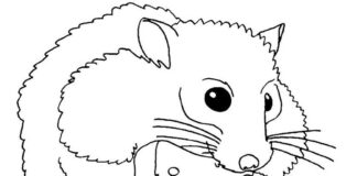 Le hamster mange le dîner - livre à colorier à imprimer