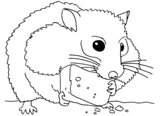 Hamster isst Abendessen Malbuch zum Ausdrucken