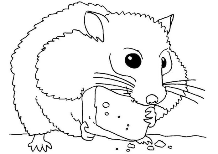Le hamster mange le dîner - livre à colorier à imprimer