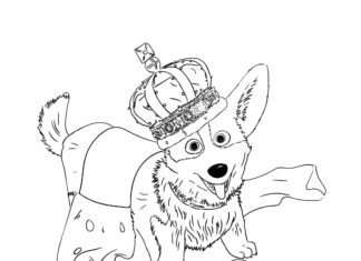 corgi queen dog coloring book printable