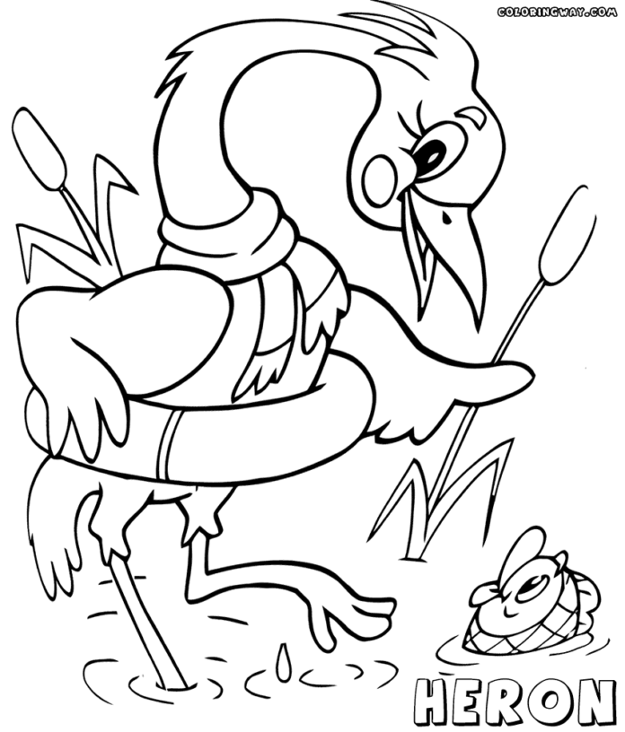 heron for kids coloring book to print