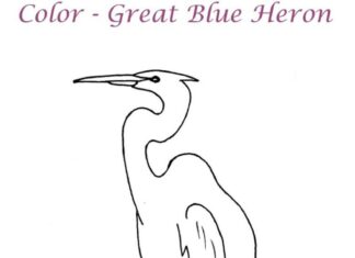heron in the swamp coloring book to print