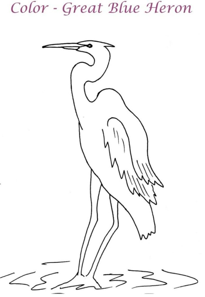 heron in the swamp coloring book to print