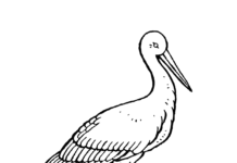 black uncommon stork coloring book to print