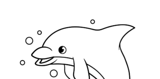 dolphin underwater coloring book to print