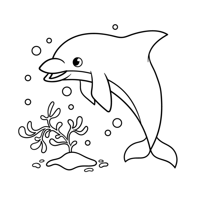 dolphin underwater coloring book to print
