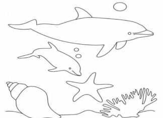 libro para colorear de delfines bajo el agua para imprimir