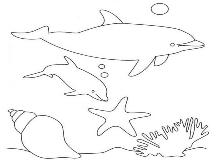 Delphine unter Wasser Malbuch zum Ausdrucken
