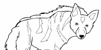 big hyena coloring book to print