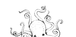 big octopus coloring book to print