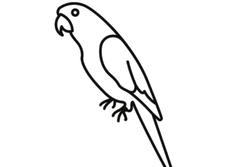 stor vågig papegoja färgbok som kan skrivas ut