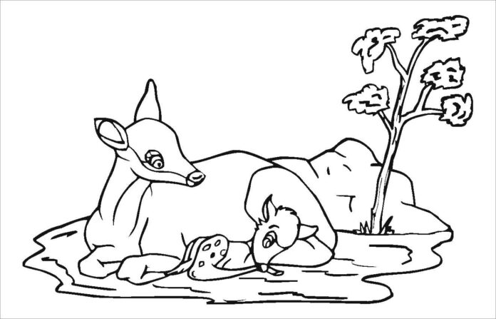 big roe deer and little roe deer coloring book to print