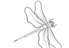 libellula grande con ali da colorare da stampare