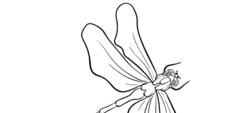 large dragonfly with wings coloring book to print