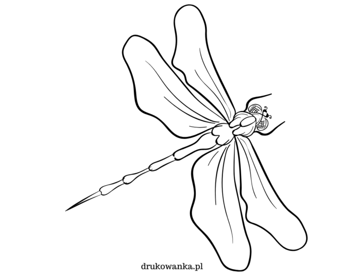 libro para colorear libélula grande con alas para imprimir