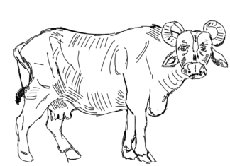 veľký bizón na lúke na vytlačenie