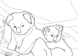 Großer und kleiner Koalabär Malbuch zum Ausdrucken