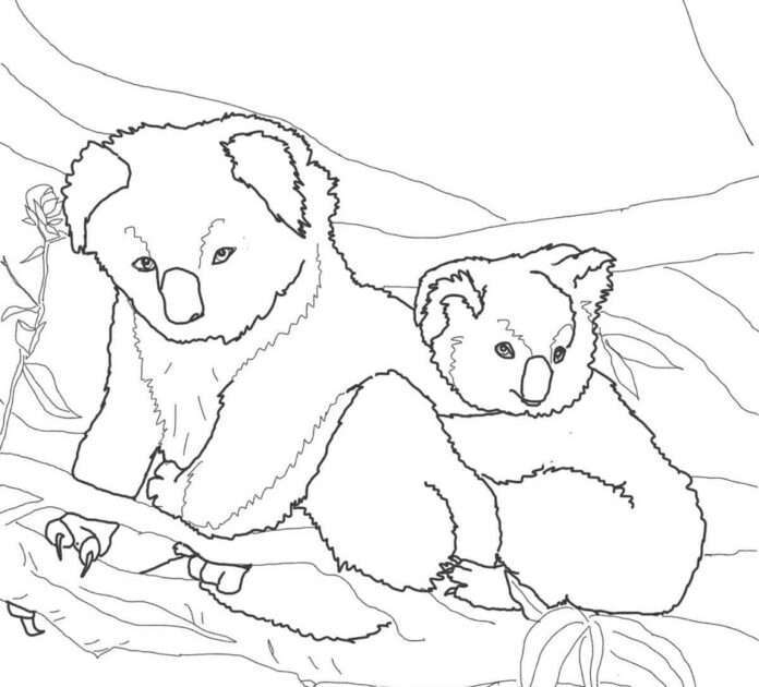 Veľký a malý medveď koala na vyfarbovanie k vytlačeniu