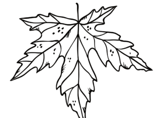 large autumn leaf coloring book to print