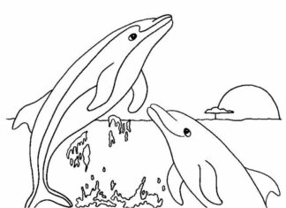 two dolphins in the sea coloring book to print