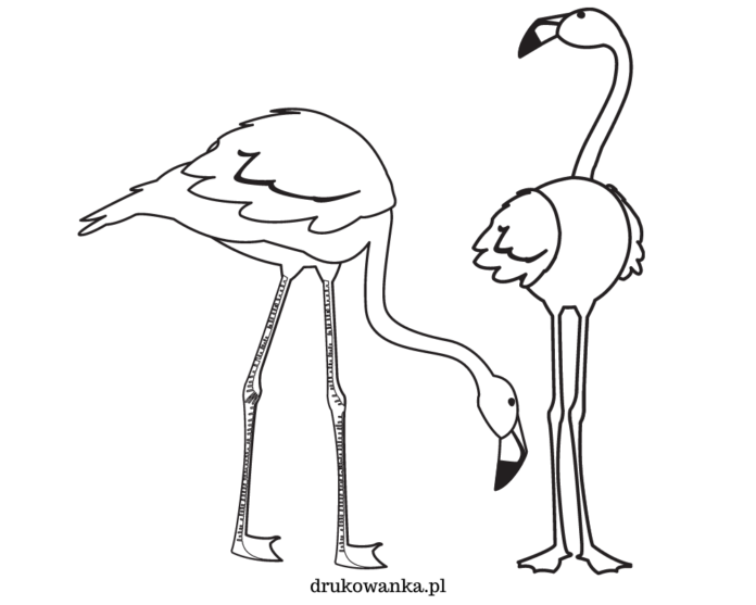 två stora flamingos färgbok som kan skrivas ut