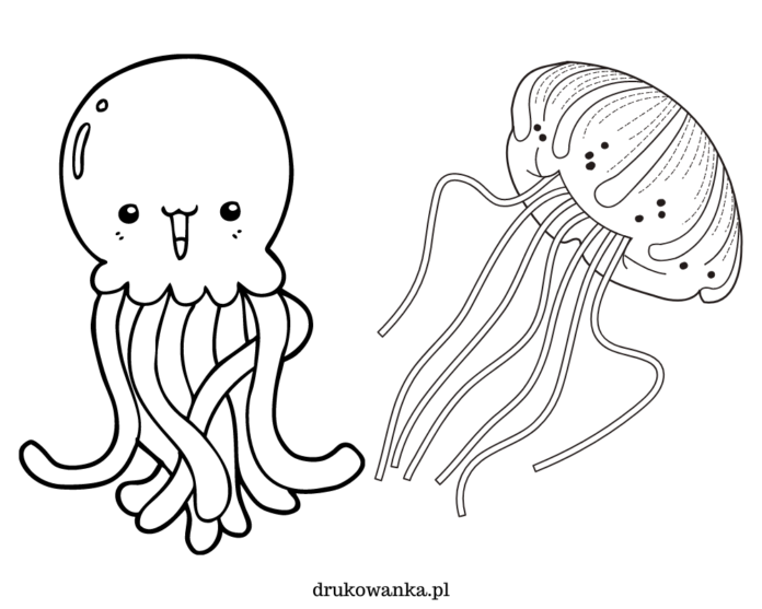 dois grandes livros de coloração de medusas para imprimir