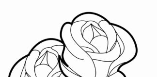 two roses coloring book to print