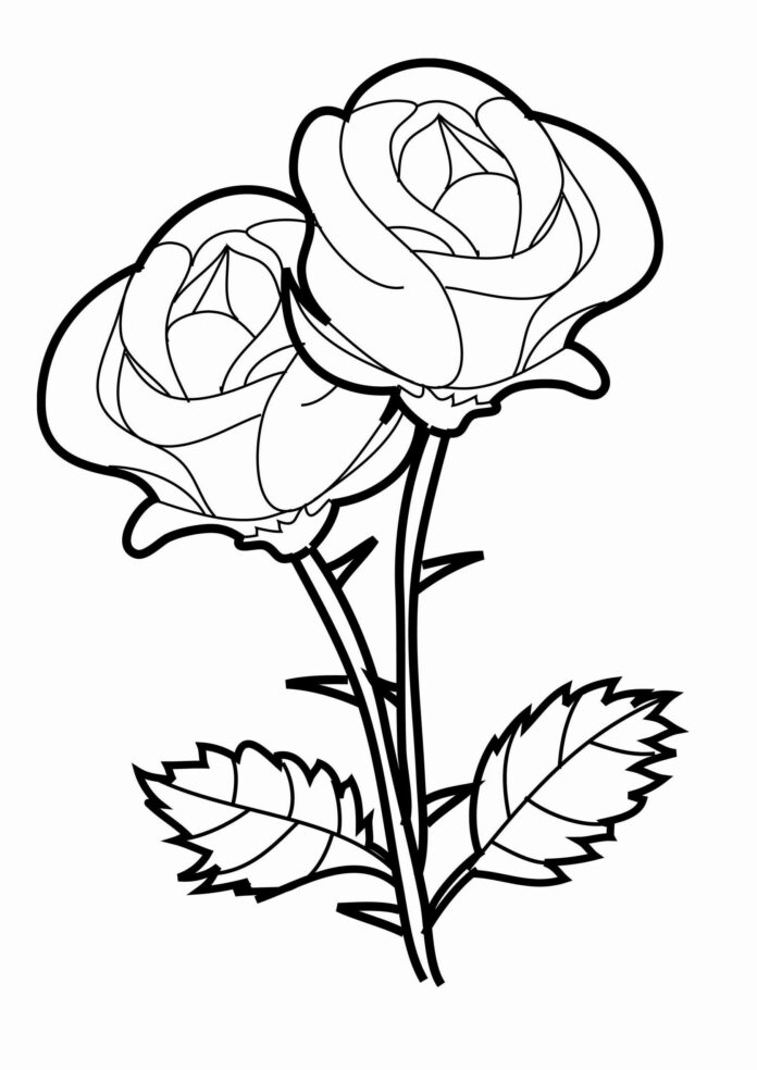két rózsa nyomtatható színezőkönyv