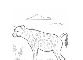 villi hyeena värityskirja tulostettava