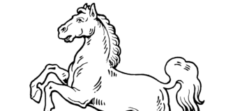 Wild and crazy horse målarbok att skriva ut