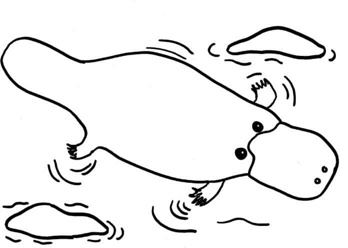 Pecker v řece plavat omalovánky k vytisknutí