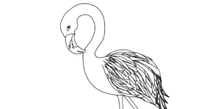 flamingo drawing coloring book to print