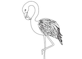 flamingo drawing coloring book to print