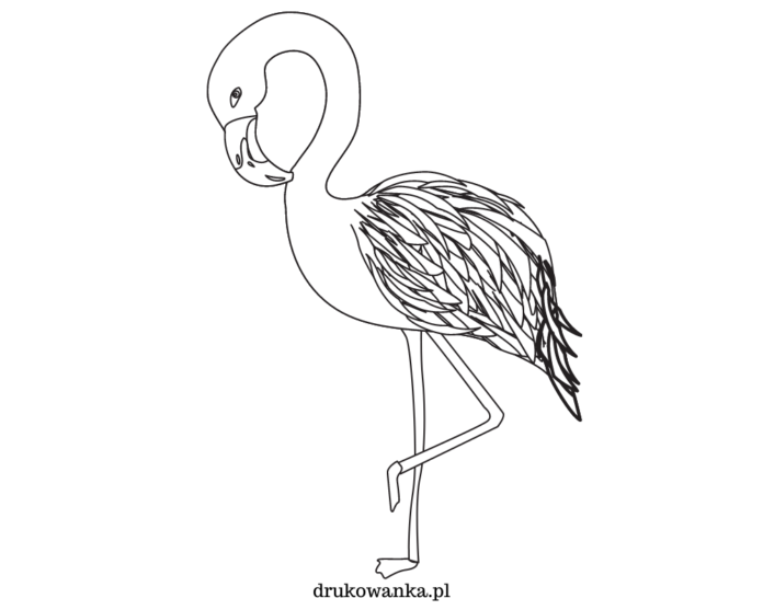Flamingo-Malbuch zum Ausdrucken
