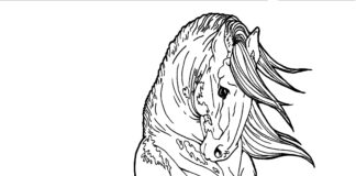 Frízsky kôň omaľovánky k vytlačeniu