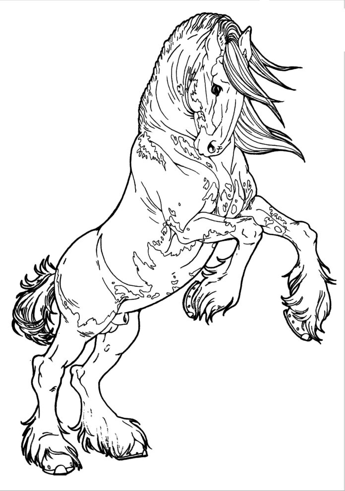 friisiläinen hevonen värityskirja tulostettava