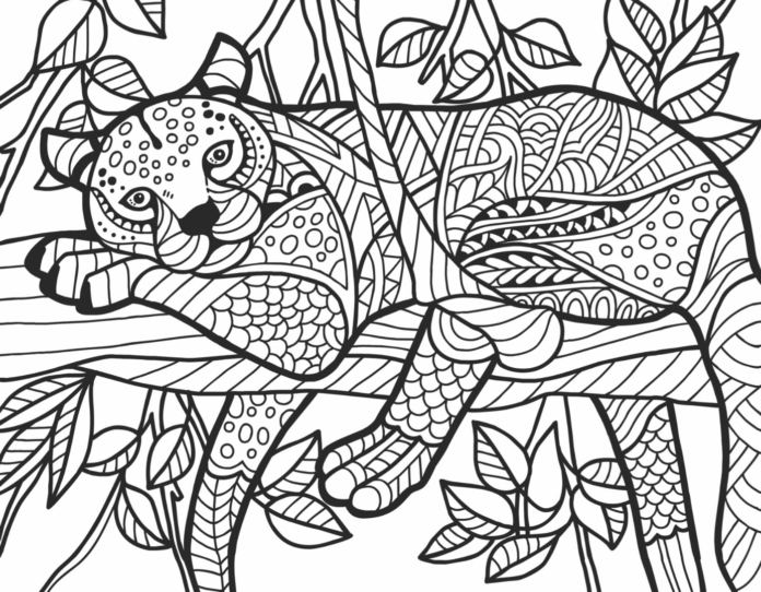 cheetah zentangle libro da colorare da stampare