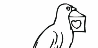 carrier pigeon coloring book to print