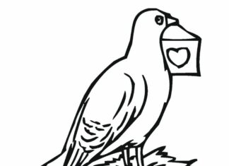 poštový holub na vytlačenie omaľovánky