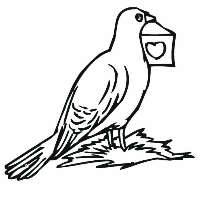 carrier pigeon coloring book to print