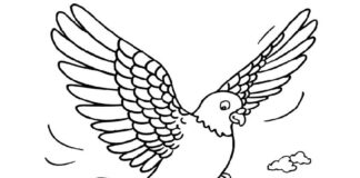 pigeon in flight coloring book to print